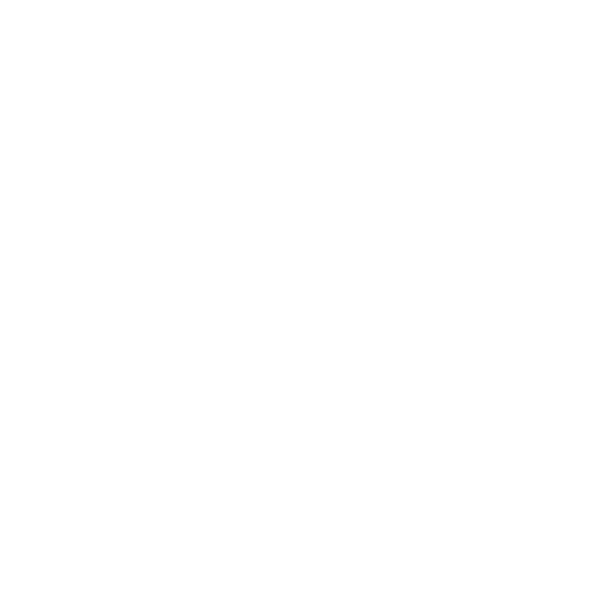 Brandora